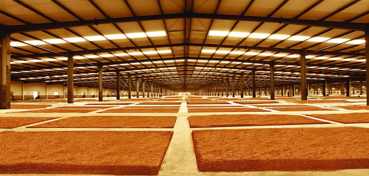 發(fā)酵食品消泡劑應(yīng)用場景圖