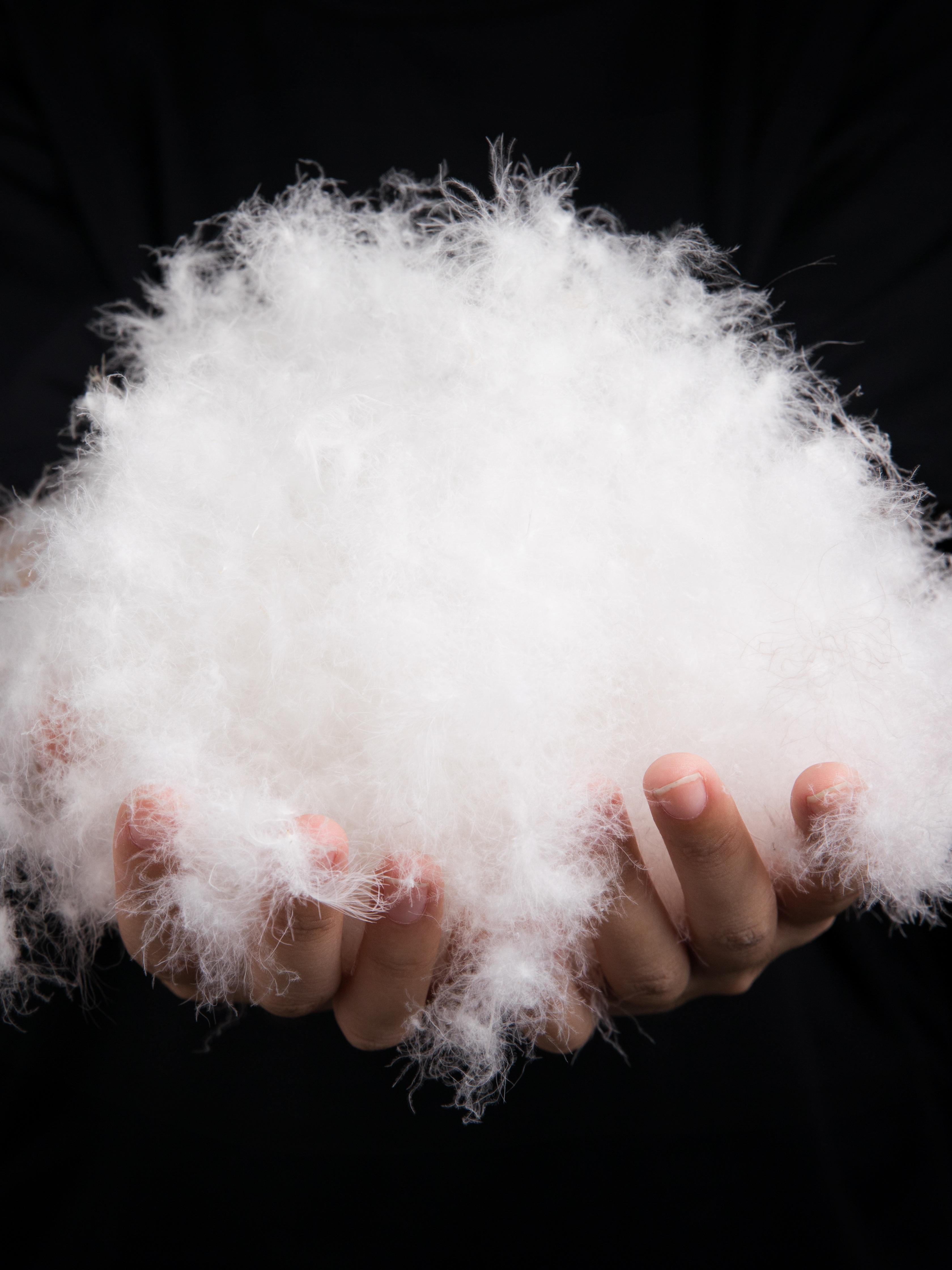 羽絨消泡劑應用場景圖