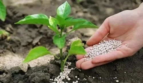 磷肥用消泡劑應用場景圖